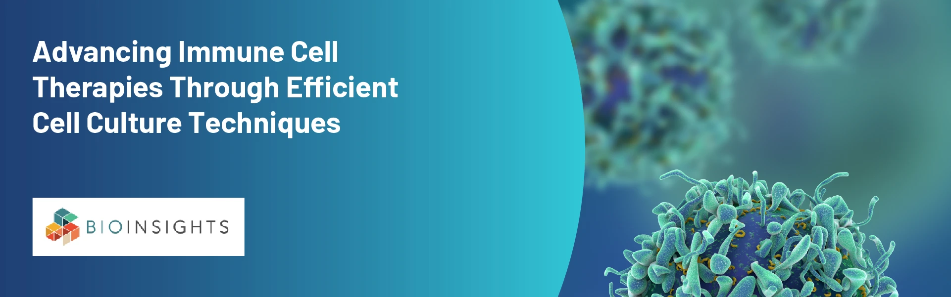 Advancing Immune Cell Therapies